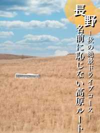 【長野】大自然感じる紅葉ドライブ🍁温泉情報含む長野絶景ドライブコース攻略情報を紹介🚗💨