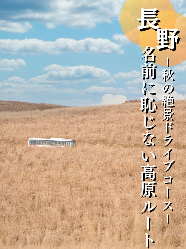 【長野】大自然感じる紅葉ドライブ🍁温泉情報含む長野絶景ドライブコース攻略情報を紹介🚗💨