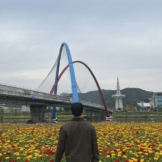 [대전] 가을 꽃 가득 아름다운 한밭수목원 🍁🍂