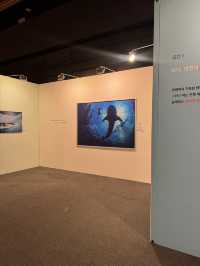 아이들과 함께 즐기기 좋은 체험형 전시 🐋
