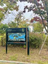 청라의 거주 중이라면 꼭 한번 가봐야 하는 호수공원🏞️