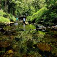 Discover the Wonders of Zhangjiajie