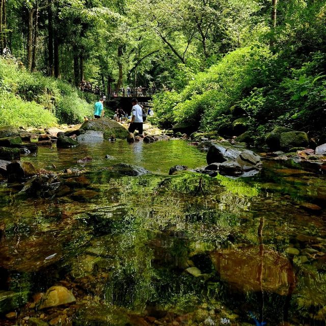 Discover the Wonders of Zhangjiajie