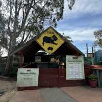  Maru Koala and Animal Park：與可愛動物相遇的夢幻之地 🐨🌿