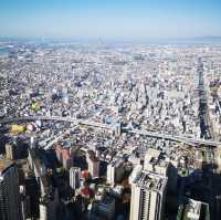 Sky-High Cityscapes: My Thrilling Adventure at Abeno Harukas!