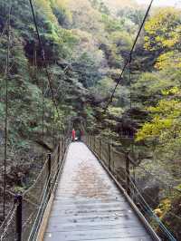 日本🇯🇵袋田瀑布🏞️ 被譽為「日本三名瀑」之一