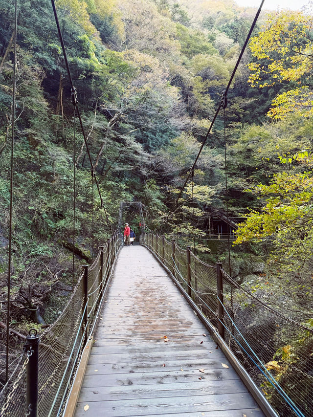 日本🇯🇵袋田瀑布🏞️ 被譽為「日本三名瀑」之一