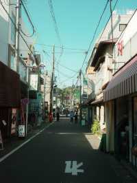 東京- 神奈川鐮倉江之島