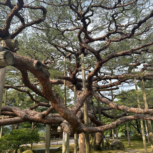 【金沢】歴史とアートな街、金沢の必見のおすすめスポット📷