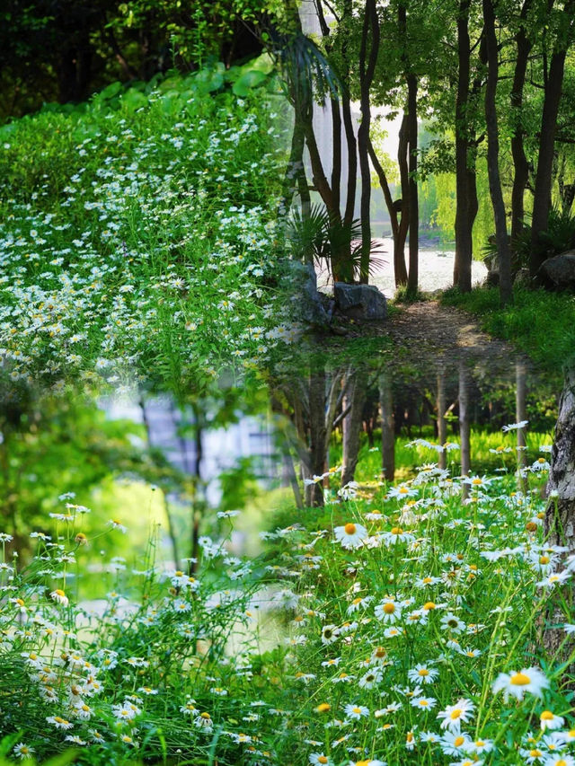 仙蠡墩遺址公園