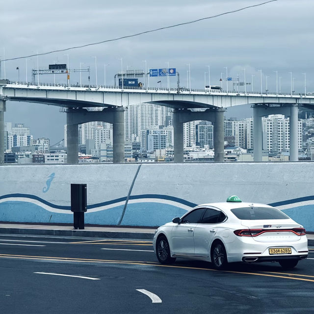 🇰🇷空中纜車下的釜山視野 「Busan Air Cruise」