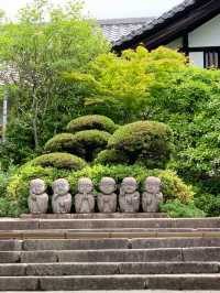 【京都　東山区　おでかけ記録】