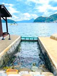 【京都府】海の京都にある海抜0の人気施設！
