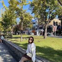 Osaka-Busan-Seoul 9 วันจุกๆ