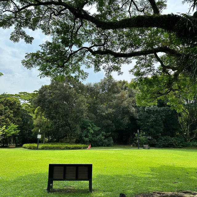 芳林公園：自然樂園 🌼🐦