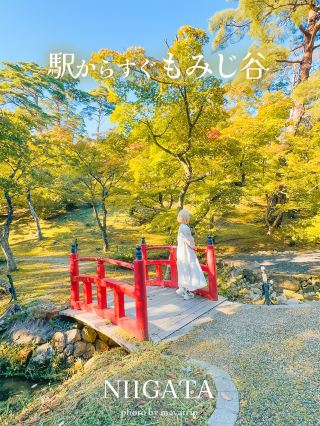 從車站即可輕鬆抵達的紅葉谷【新潟/彌彥】