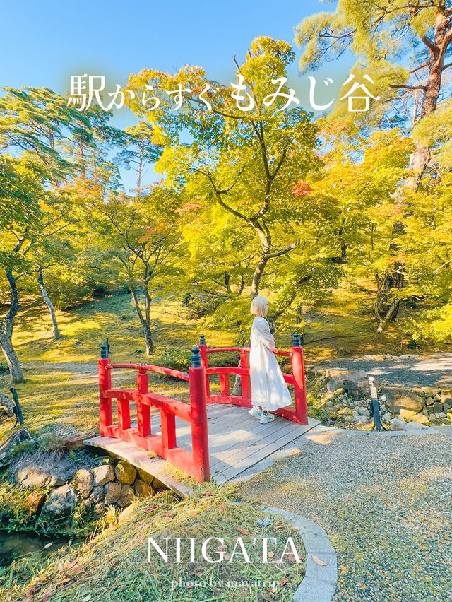 駅からすぐのもみじ谷【新潟/弥彦】