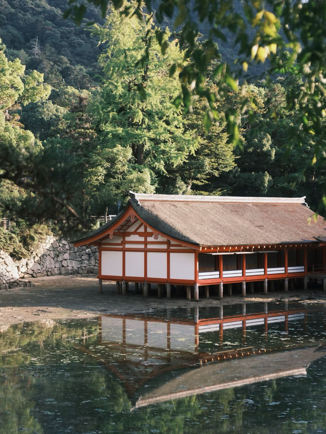 Itsukushima Island: A Magical Blend of Heritage and Flavor