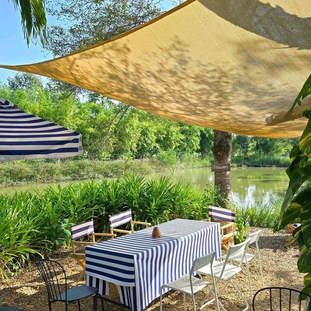 Barisut cafe’ 