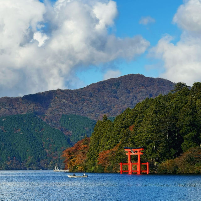 Hakone Freepass! Tokyo outskirts hidden gems awaits for exploration!