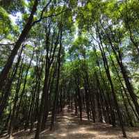 ～福林公園～清新派對～