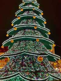 Wroclaw Christmas Market,Poland 