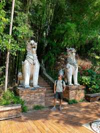 Doi Suthep National Park: big journey