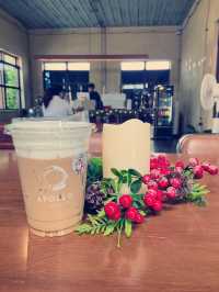 คาเฟ่ดึกเก่า :Apollo Cafe