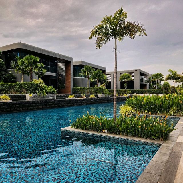 Plane-Watching by the Pool?