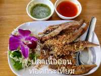 พามาทานอาหารริมลำธารในจังหวัดนครนายก