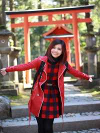 Spring Serenity at Kasuga Taisha: Where History Meets Nature