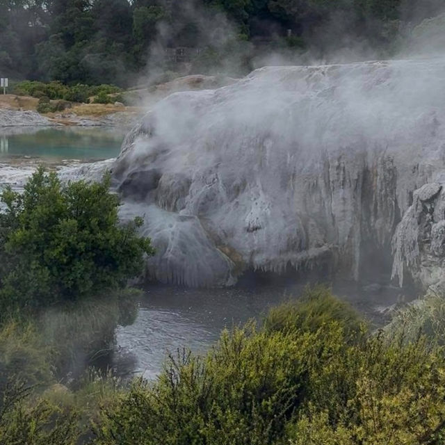 Steaming into Paradise: Unwinding at Mauri Te Puia