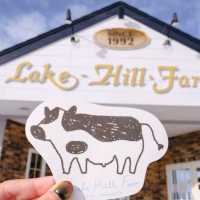 🐄 Lake Hill Farm 🐄 ฮอกไกโด