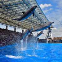 名古屋旅遊～名古屋水族館