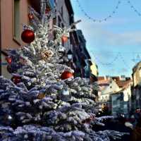 Colmar in Christmas
