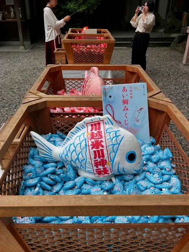 穿越「小江戶」川越 