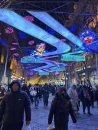A Frosty New Year Adventure: Harbin City Tour