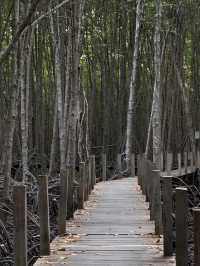 Tung Prong Thong: A Golden Eco-Adventure