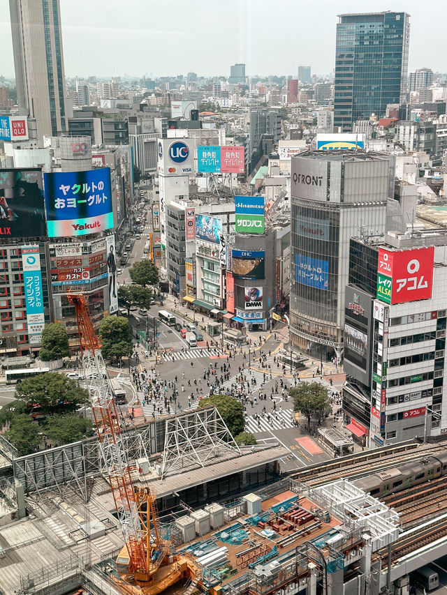 📍東京渋谷｜登上Shibuya Sky 拍網美照