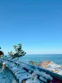 ☃️양양 낙산사 