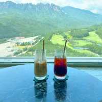뷰 끝판왕 고성 소노펠리체 카페 더엠브로시아 ⛰️🌿