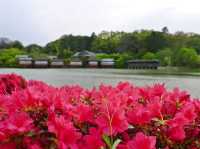 Nagaoka Tenman-gū Shrine