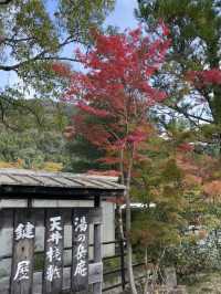 Kinrin Lake: The Heart of Yufuin’s Natural Beauty