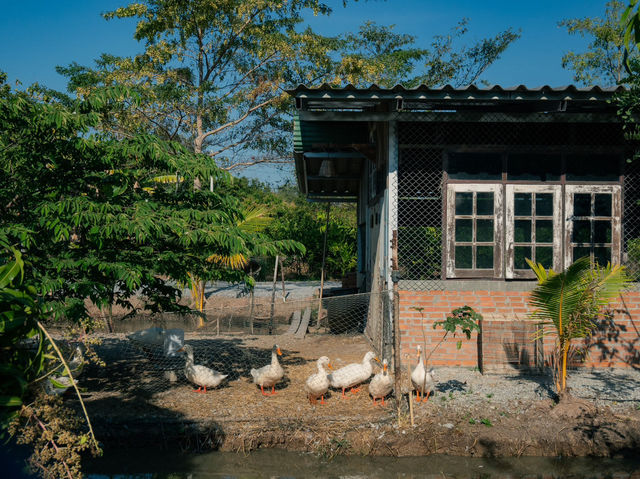 บ้านสวนกำไรสุข🪿🏡🥬