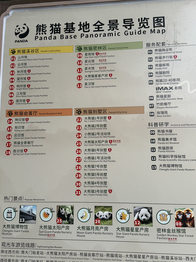 A full day Panda watching? I couldn’t believe my eyes! 