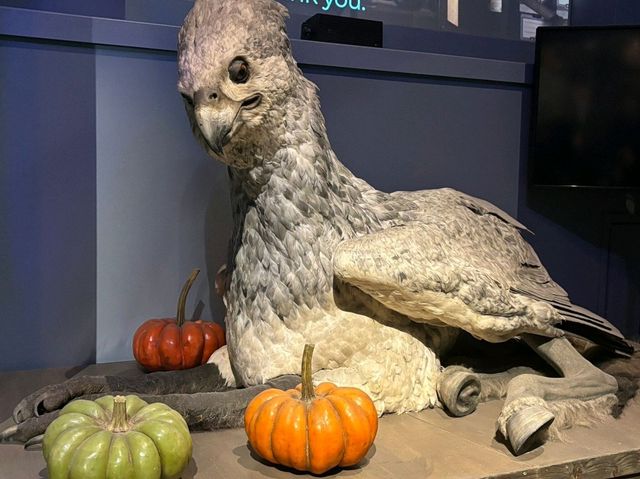 Unlock the Magic at Harry Potter Warner Bros. Studio