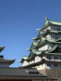 The Stunning Nagoya Castle, You Have To See It To Believe It! 🇯🇵 🏯🗾