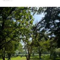 都内とは思えないほど美しい自然に出会える大きな公園、昭和記念公園😍❤️