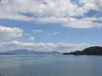 🌳자연과 힐링하러 남해 여행 떠나보실까요~?🌊