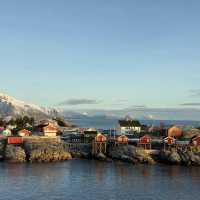 Fresh caught cod in Norwegian village 🇳🇴🎣